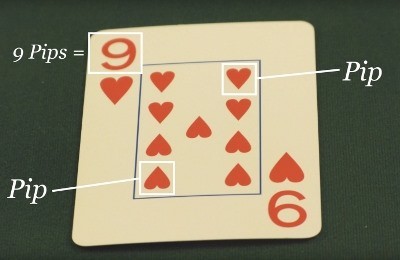 Where the pips are located Where the pips are located